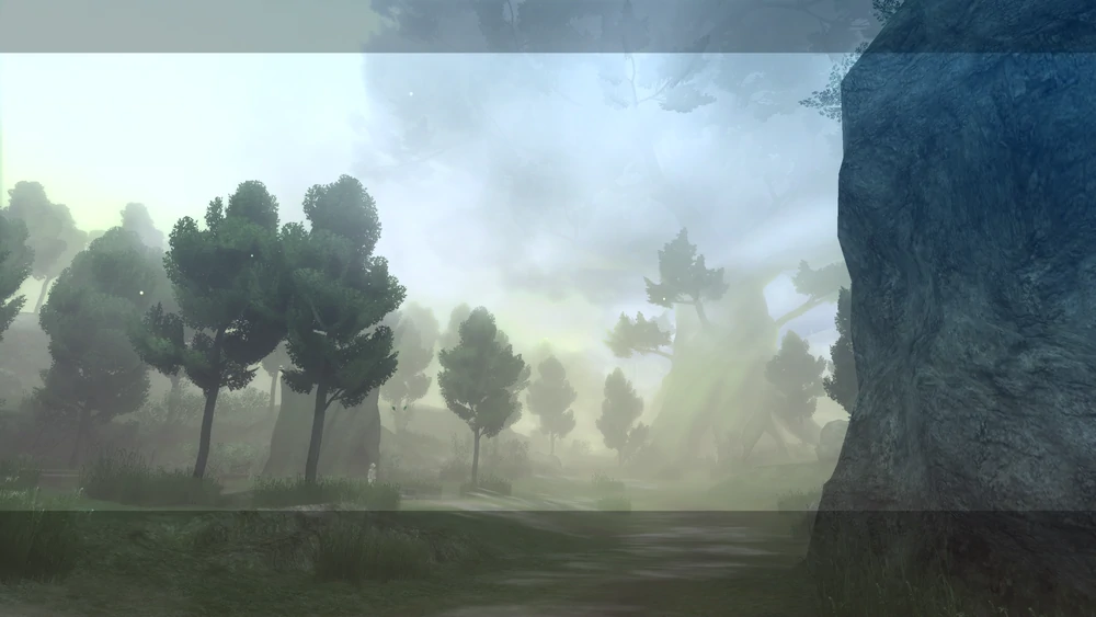 The Forest of Myth, as glimpsed in a preview cutscene the first time you visit it. It is a misty deciduous forest with a huge tree looming in the background, much taller than all the others.